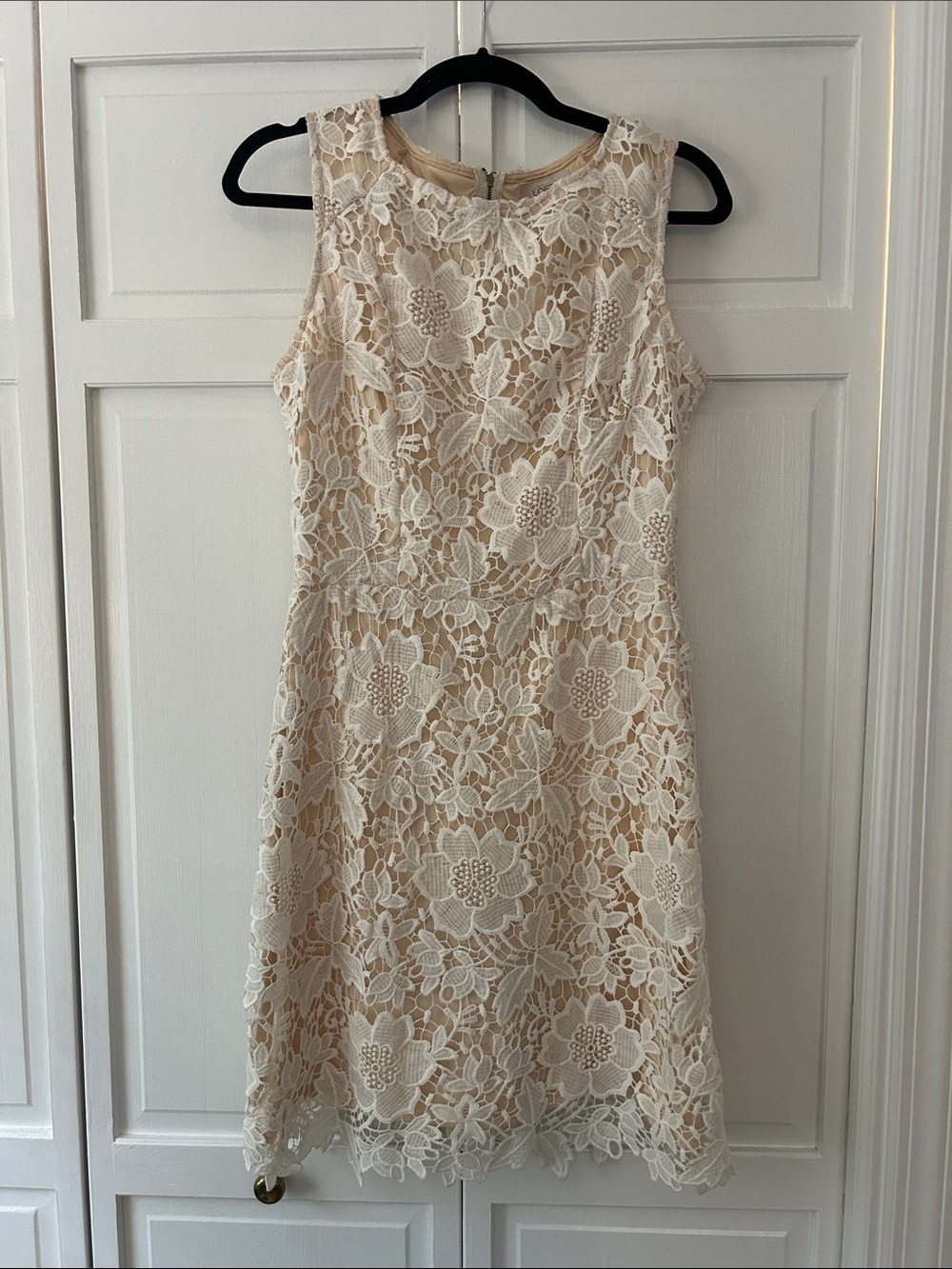 LOFT Cream Lace Sheath Dress